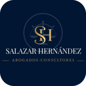 Dra. Ana María Agudelo experta en insolvencia económica y blindaje patrimonial 360 en Salazar Hernández Abogados Consultores.