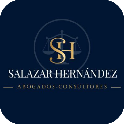 Dra. Ana María Agudelo Directora de Salazar Hernández Abogados Consultores especialista en Insolvencia